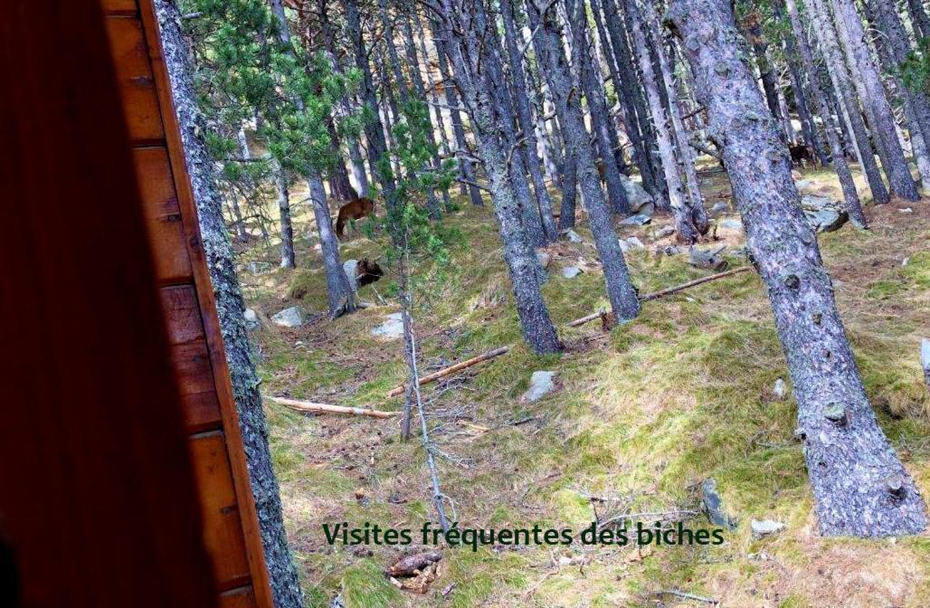Chalet Vue Sous Cet Angles Buitenkant foto